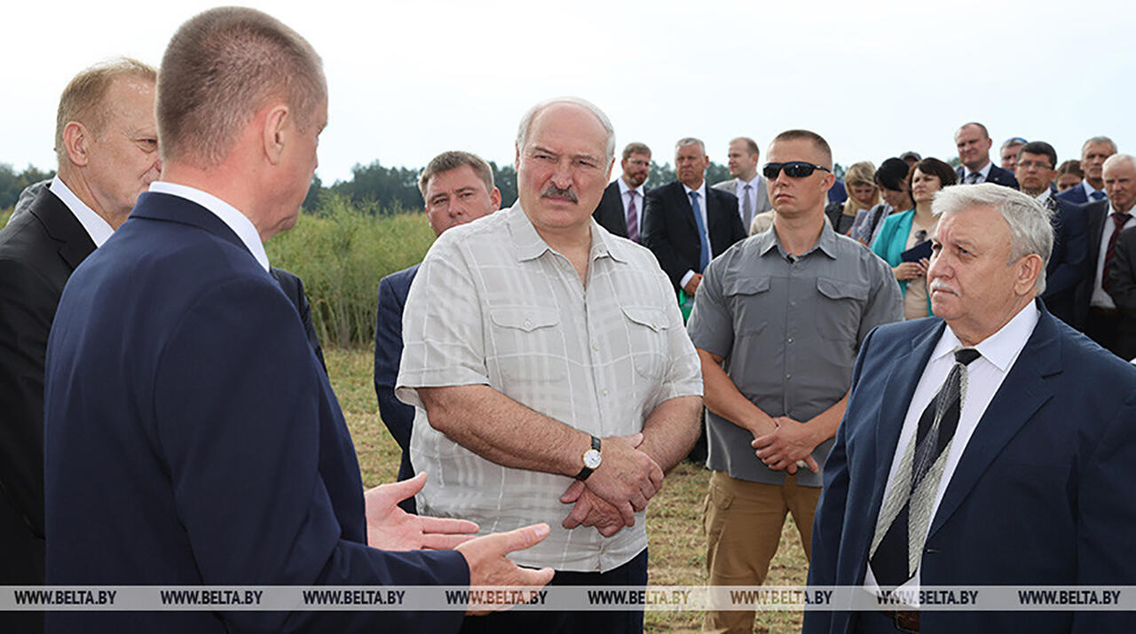 Александр Лукашенко во время посещения селекционно-семеноводческого комплекса Научно-практического центра Национальной академии наук по земледелию