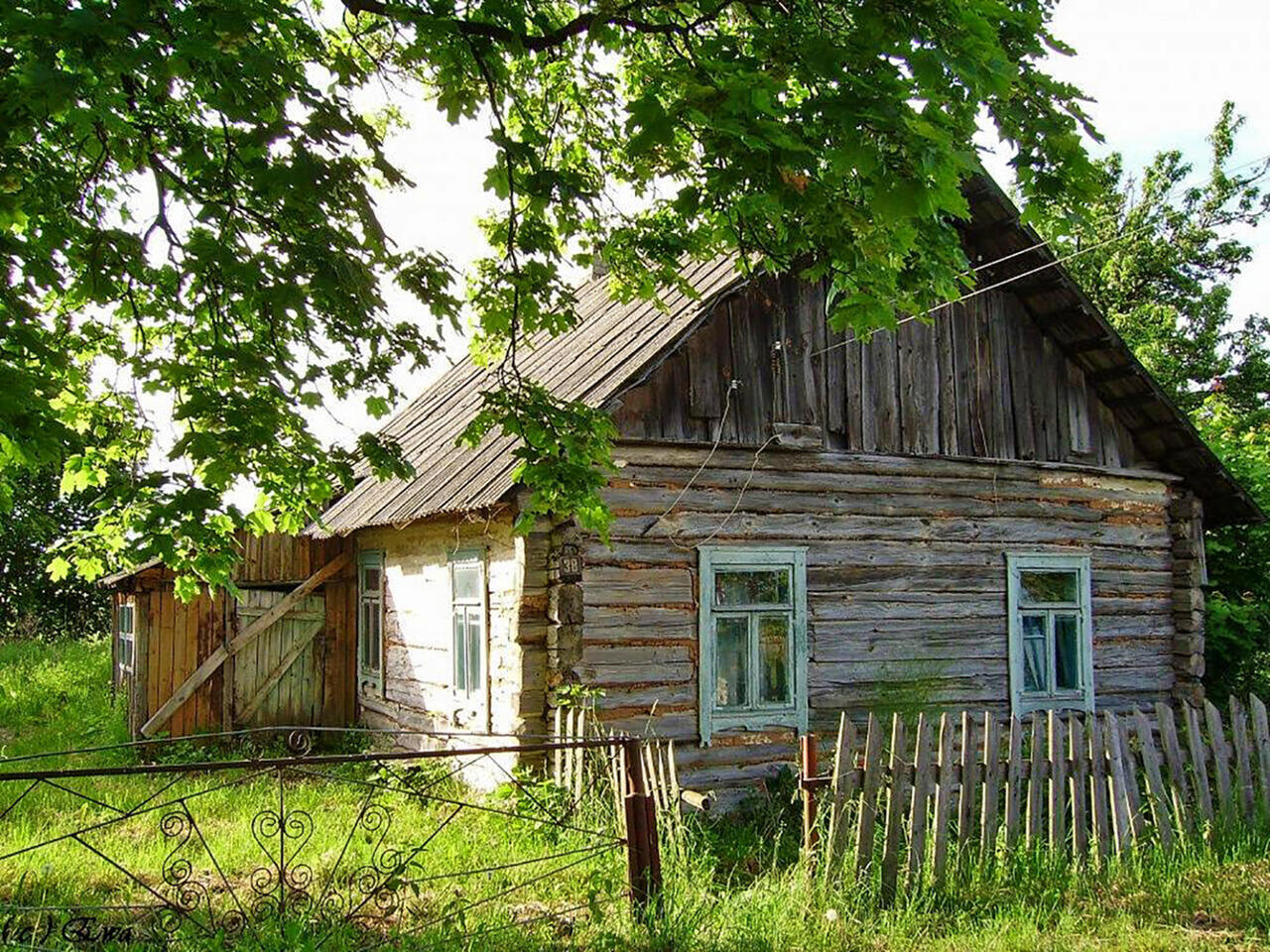 фото из интернета, носит иллюстративный характер