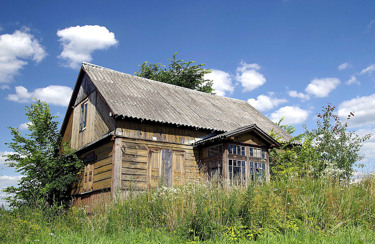фото из интернета, носит иллюстративный характер