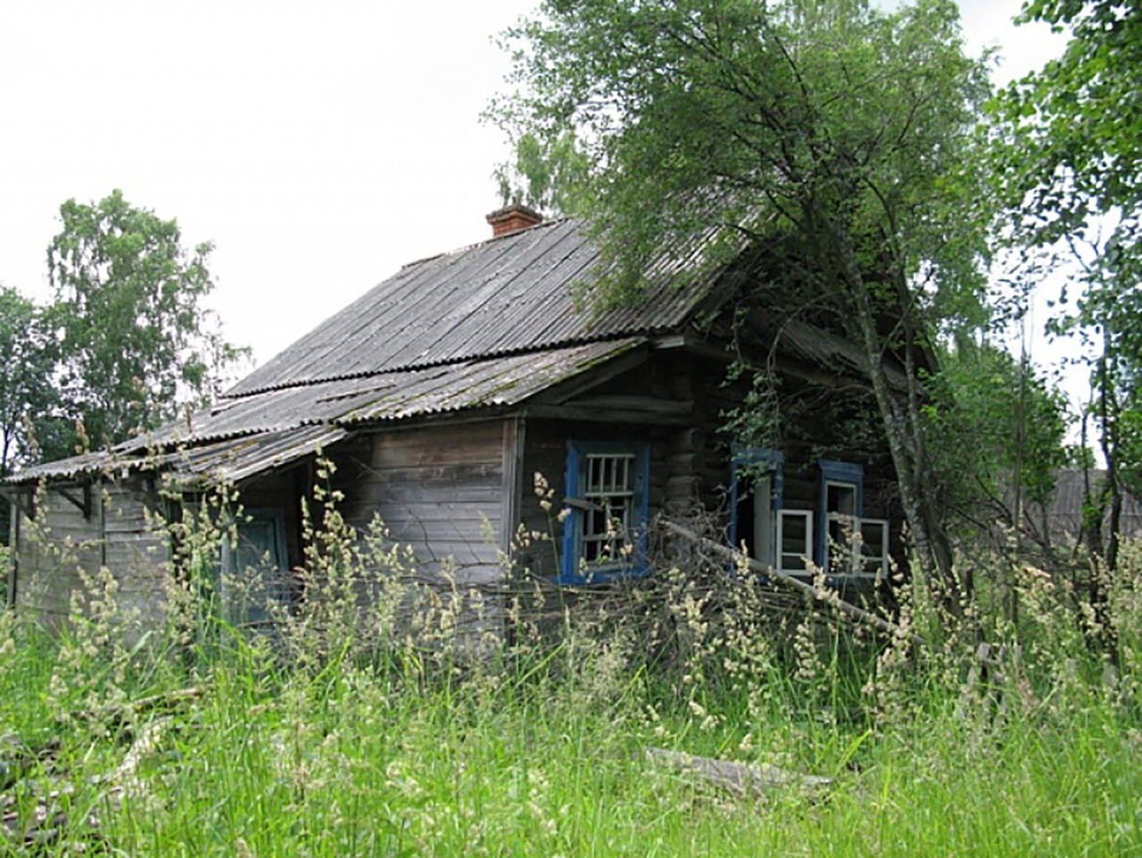 фото из интернета, носит иллюстративный характер