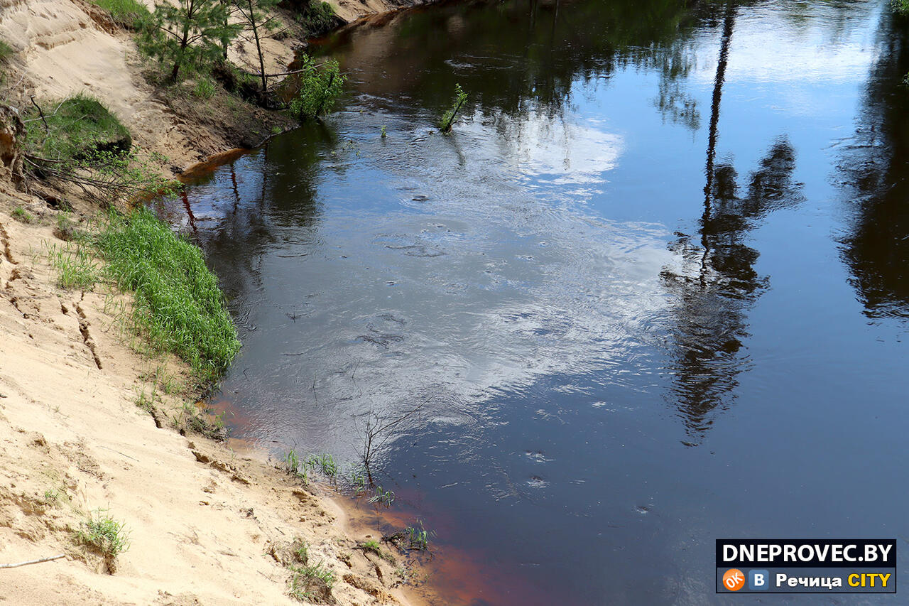 Воронки водоворотов на реке Ведрич