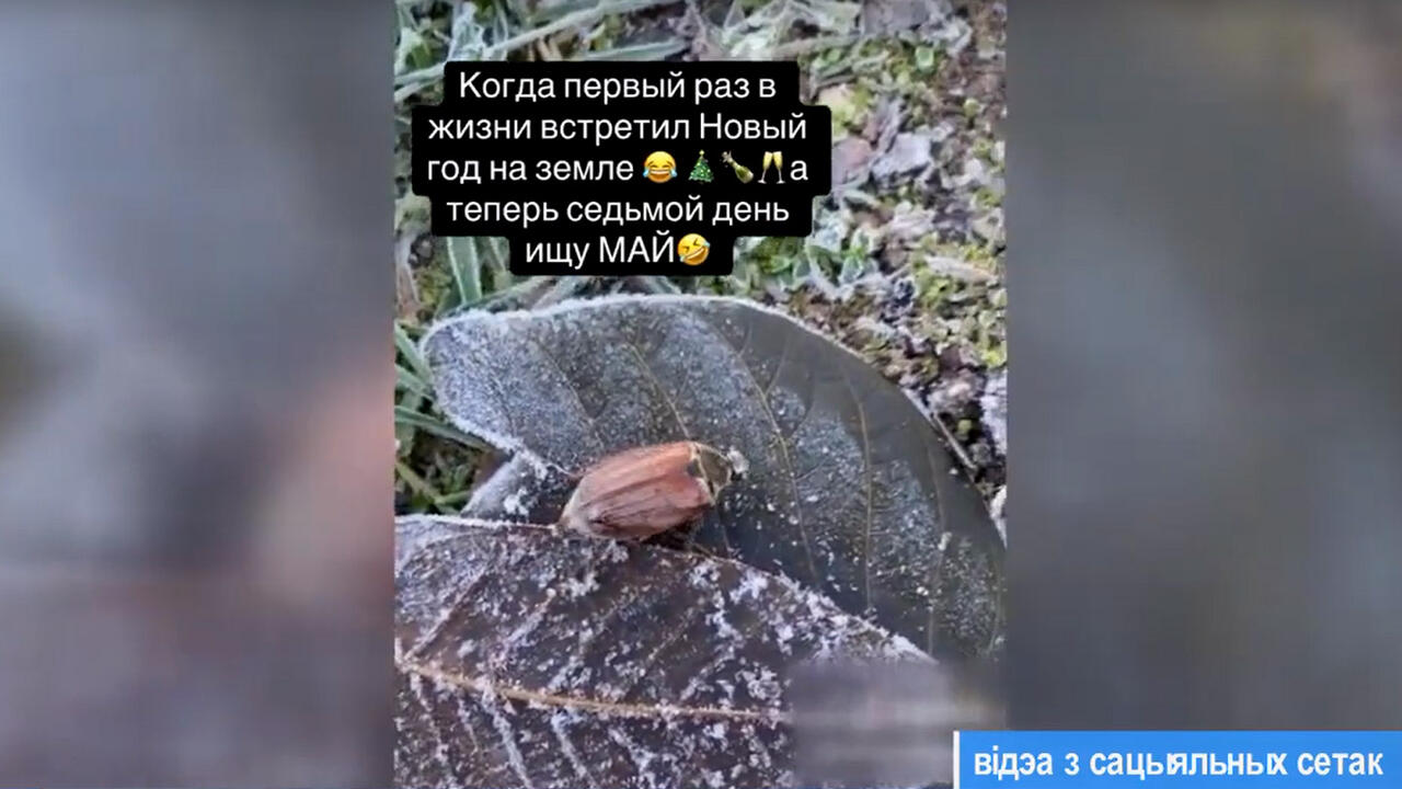 скриншот из видео
