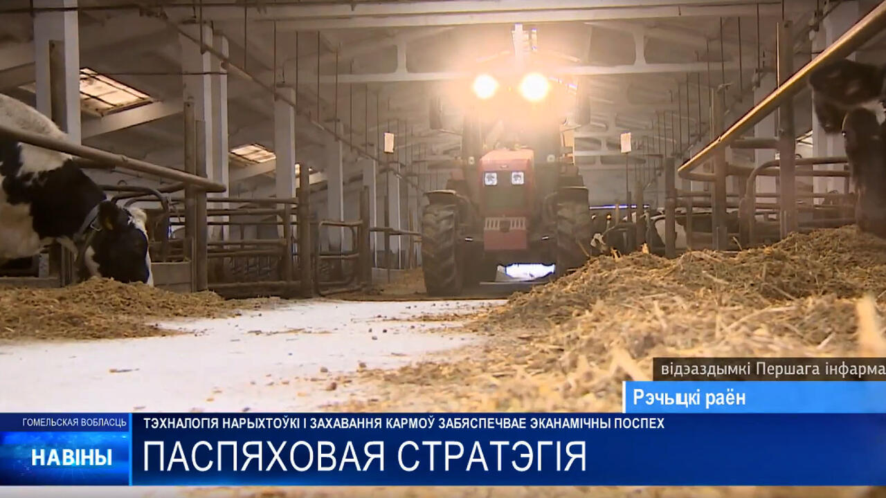скриншот ТРК «Гомель»