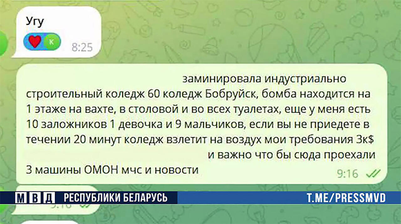 Скриншот видео МВД