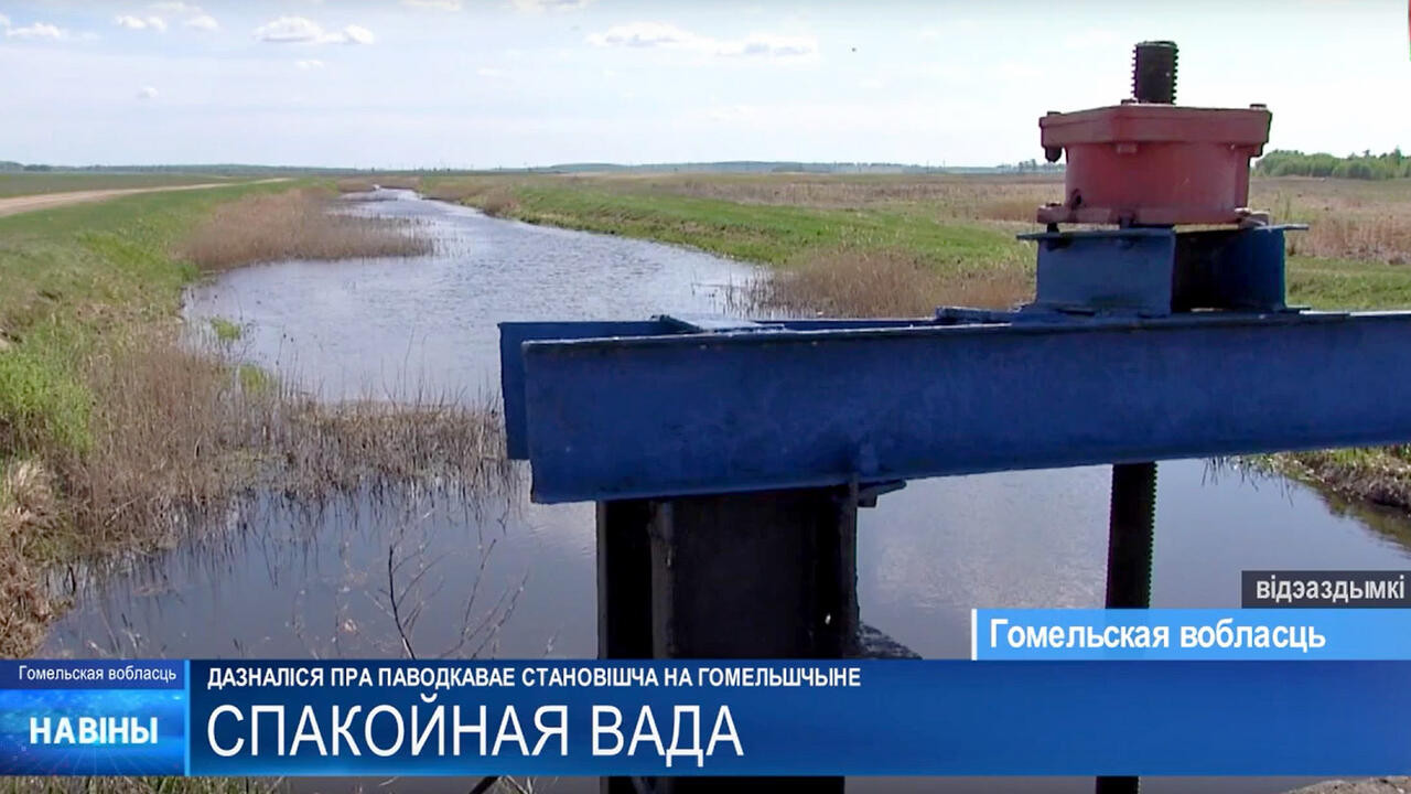 скриншот видео ТРК «Гомель»