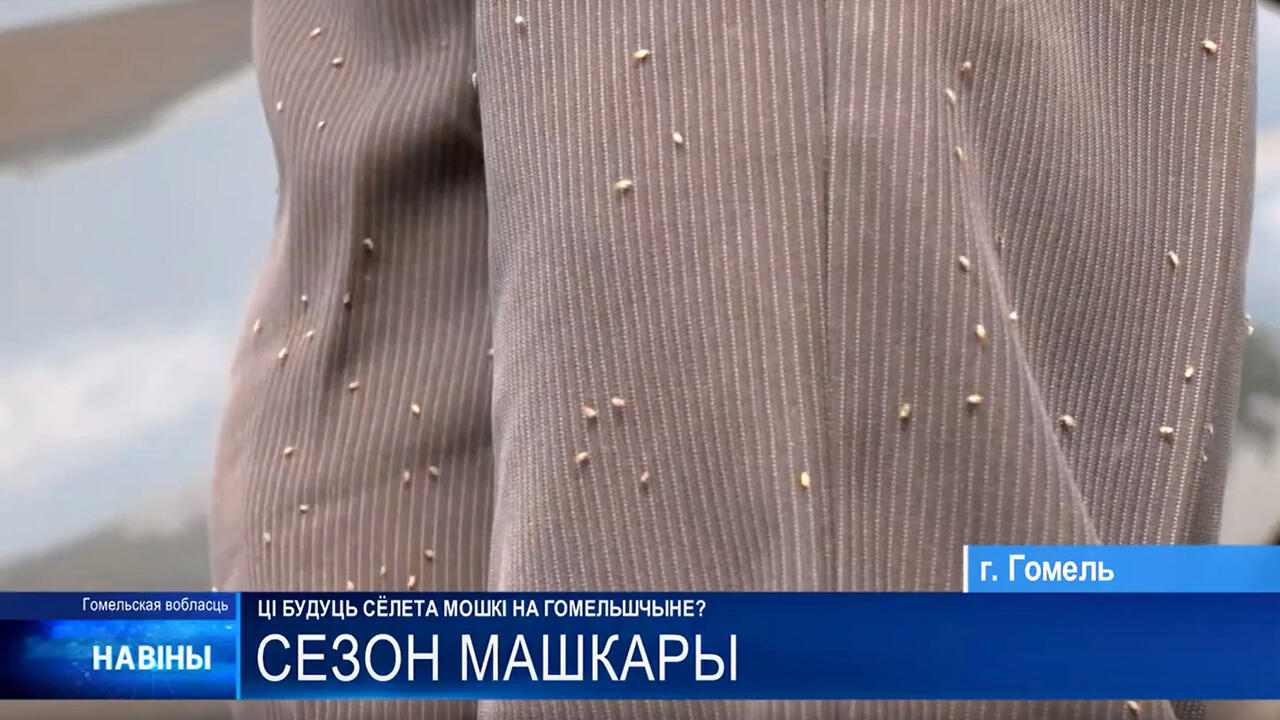 скриншот видео ТРК «Гомель»