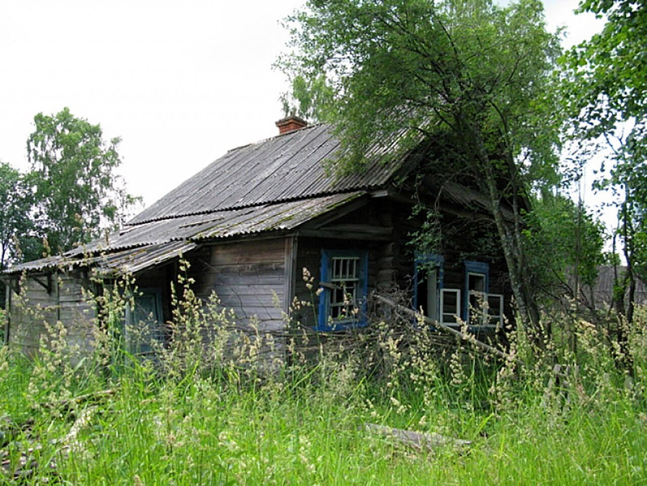 фото из интернета, носит иллюстративный характер